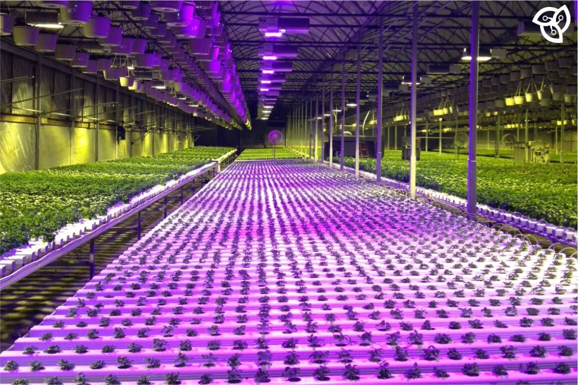 led veřejné osvětlení, pouliční osvětlení, led, vysoká úspora, led technologie, led průmyslové osvětlení, světlomety, led osvětlení pro skleníky